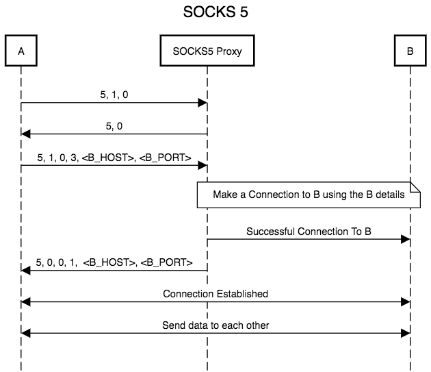 ./assets/socks5.png